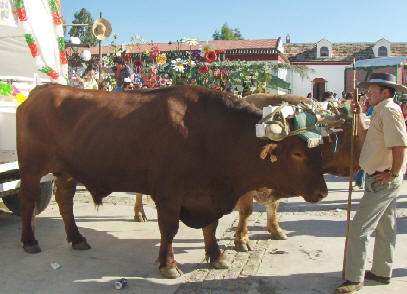 SAN ISIDRO LABRADOR - VILLAFRANCA